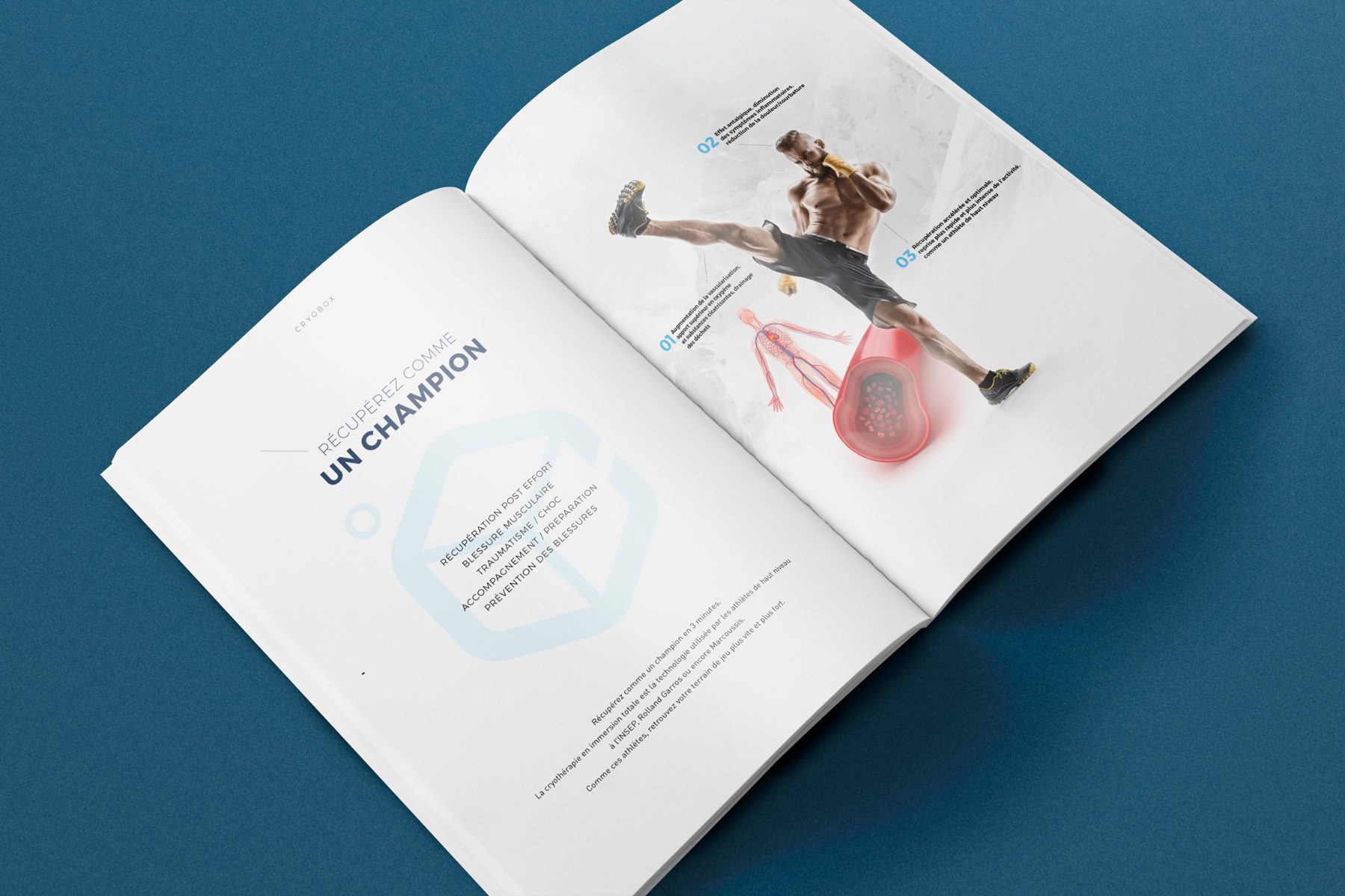 Cryobox, visuel 05