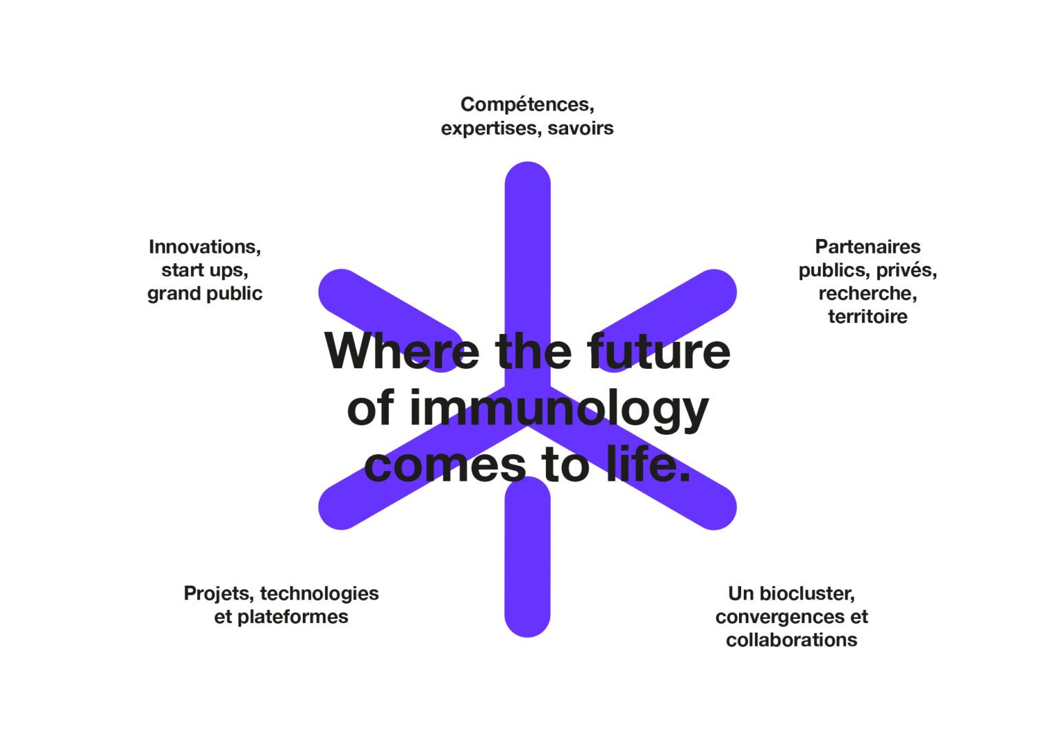 Marseille Immunology Biocluster, visuel 03